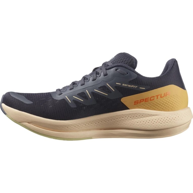 Navy Salomon Spectur Women's Running Shoes | IE WY7514